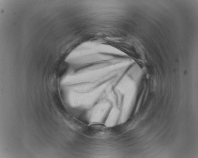 X0000062790364200601191930