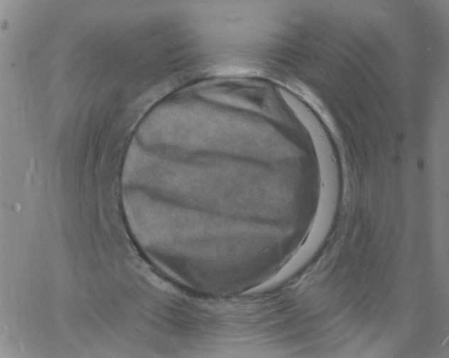 X0000062790385200601191929