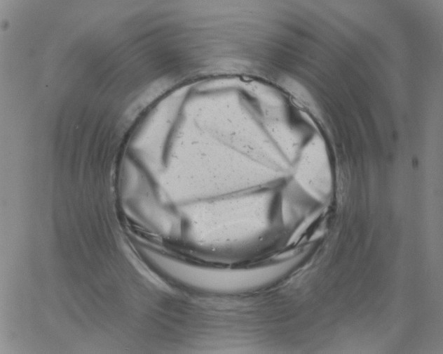 X0000062790389200601191929