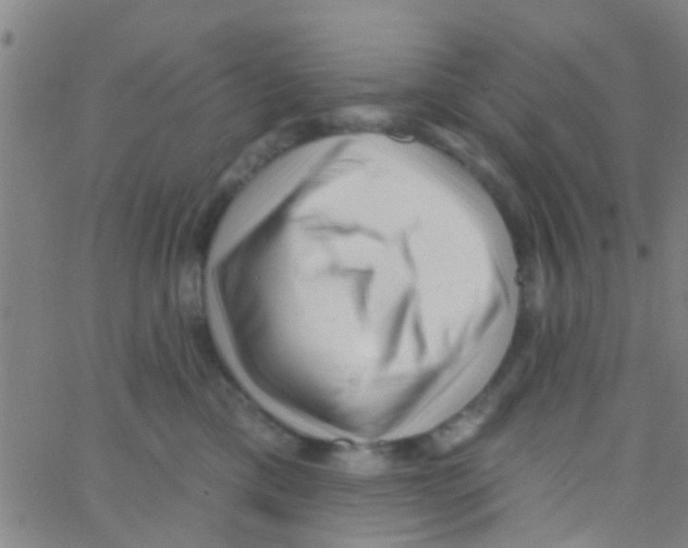 X0000062790425200601191929