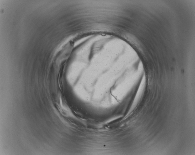 X0000062790436200601191928