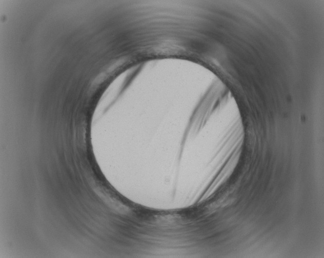 X0000062790446200601191928
