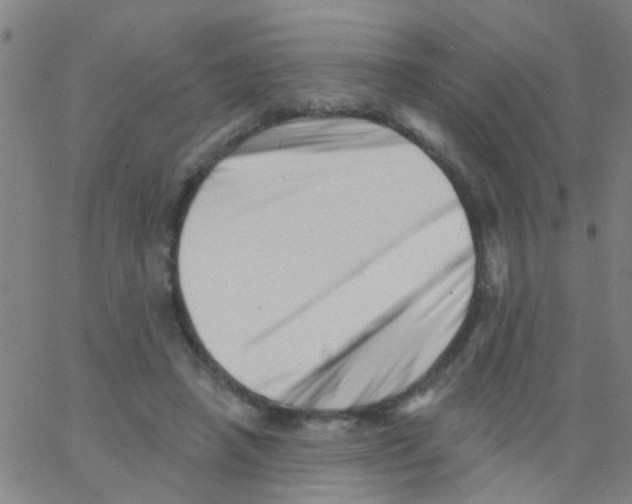 X0000062790450200601191928