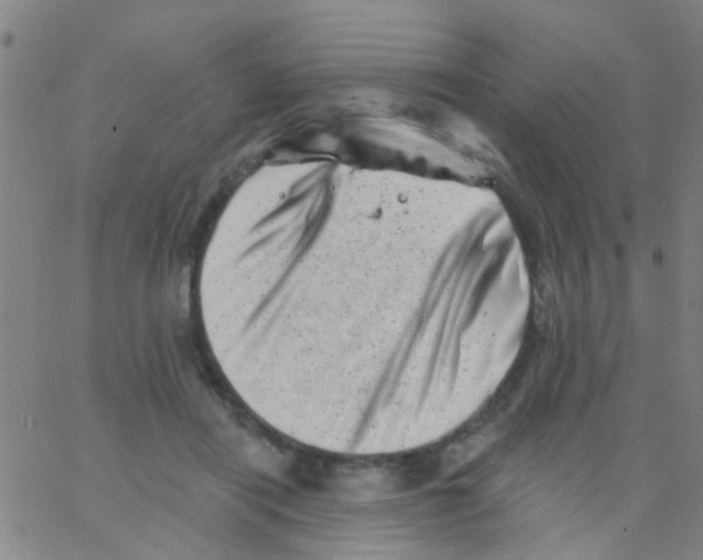 X0000062790454200601191928