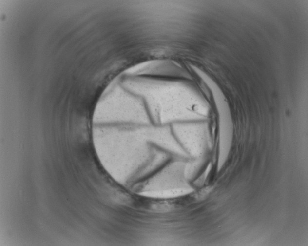 X0000062790470200601191928