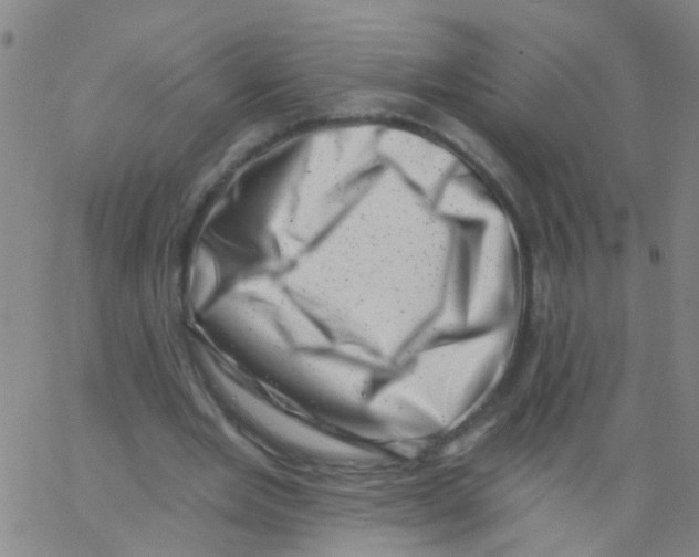 X0000062790485200601191928
