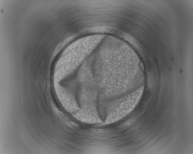 X0000062790486200601191928