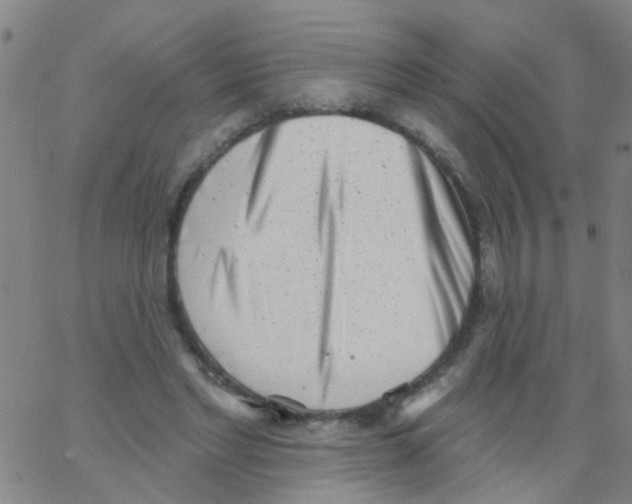 X0000062790493200601191928