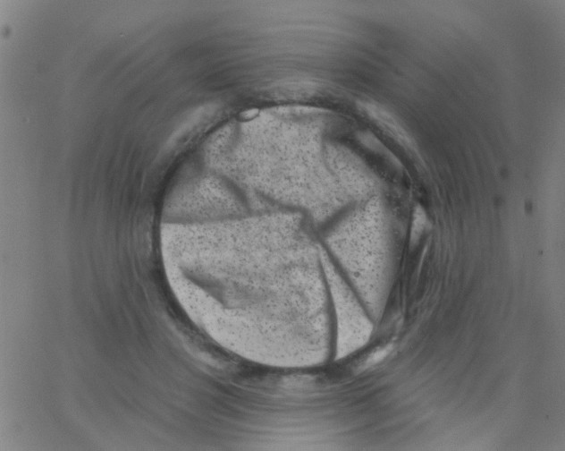 X0000062790501200601191927