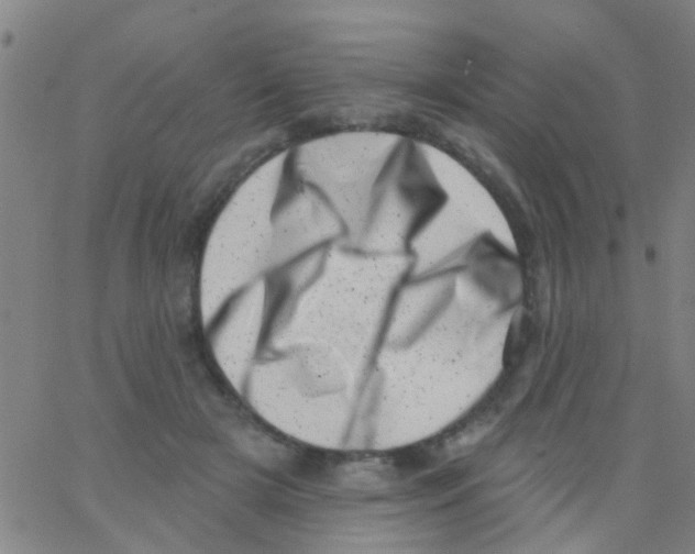 X0000062790505200601191927