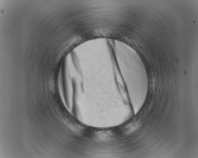 X0000062790508200601191927