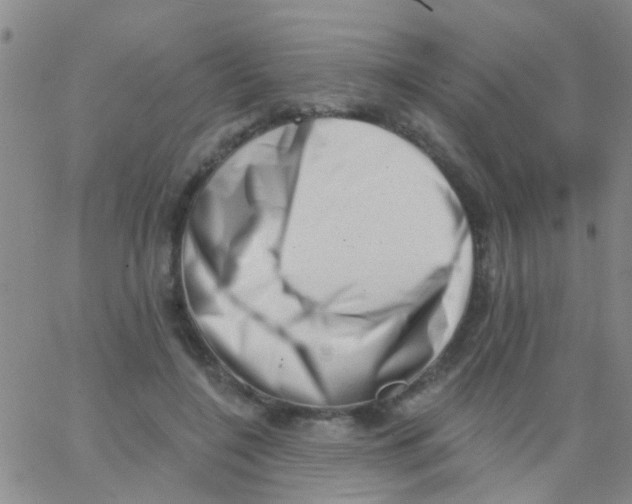 X0000062790548200601191926