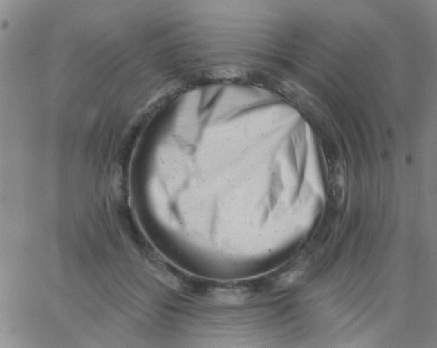 X0000062790556200601191927