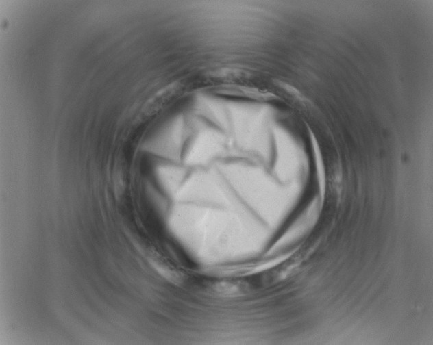 X0000062790566200601191927