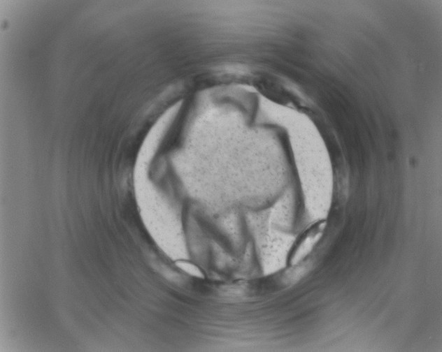 X0000062790574200601191927