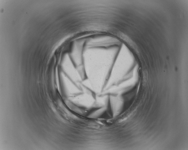 X0000062790580200601191926