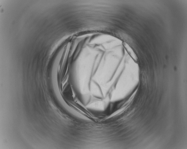 X0000062790676200601191925