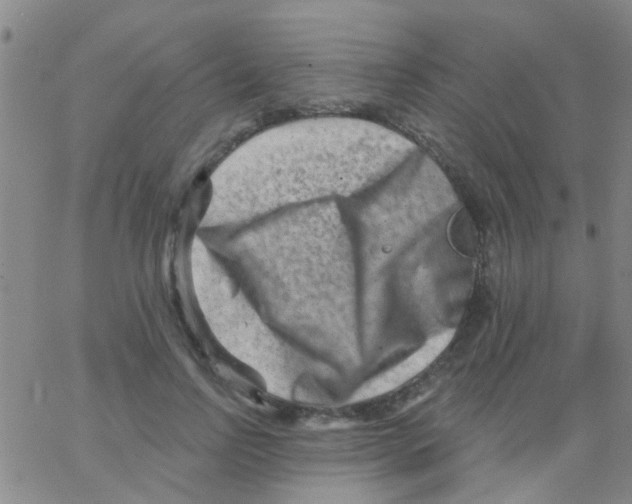 X0000062790742200601191923