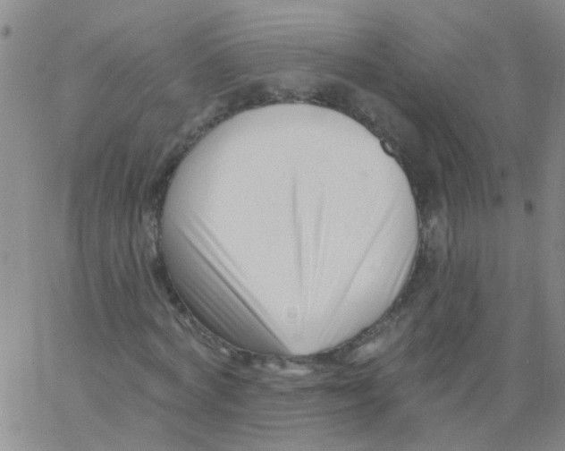 X0000062790772200601191923