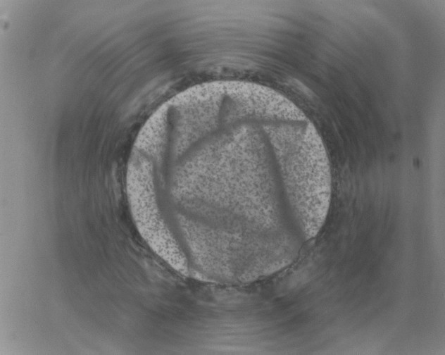 X0000062790774200601191923