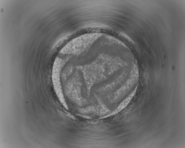 X0000062790775200601191923