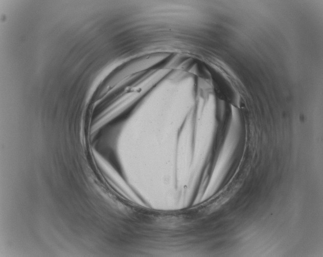 X0000062790788200601191923