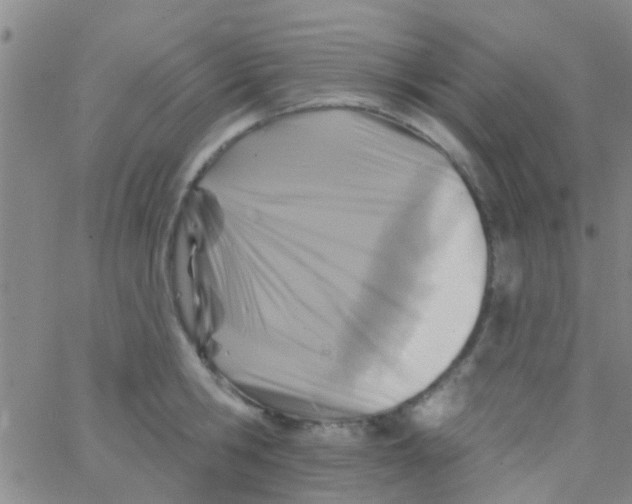 X0000062790806200601191922