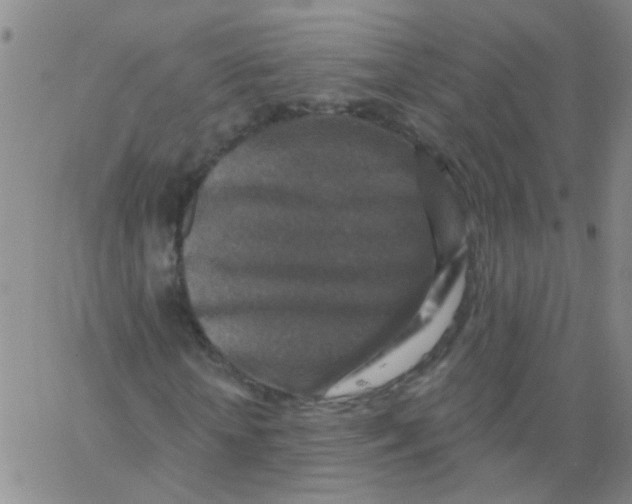 X0000062790818200601191921