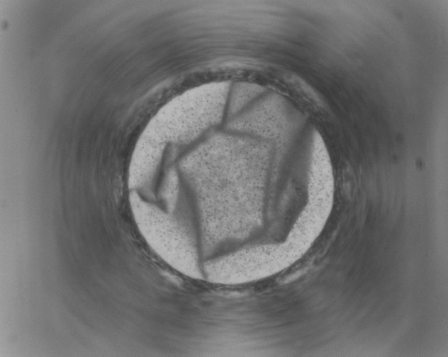 X0000062790821200601191922
