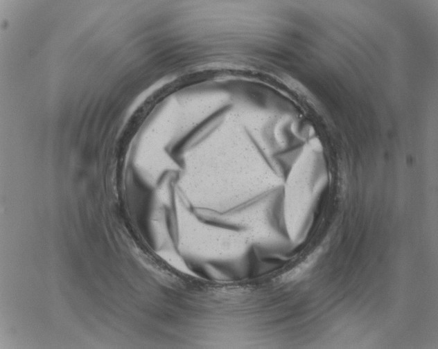 X0000062790830200601191922