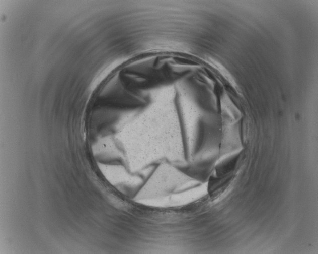 X0000062790885200601191921