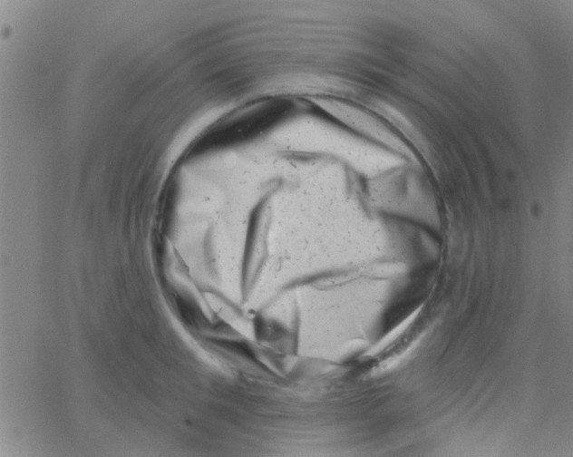 X0000062790901200601191921