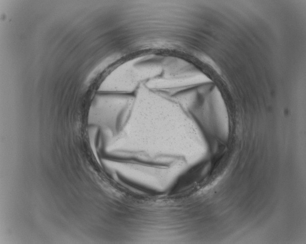 X0000062790922200601191920