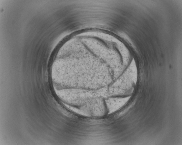 X0000062790924200601191920
