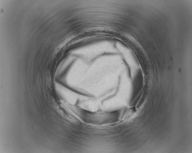 X0000062790969200601191920