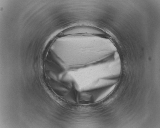 X0000062790981200601191920