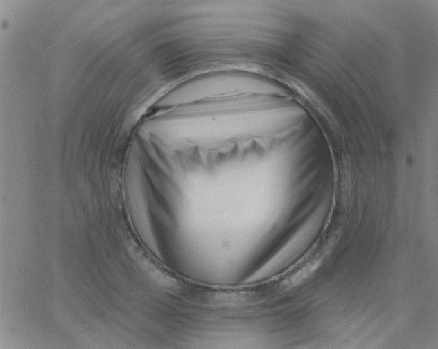 X0000062790985200601191919