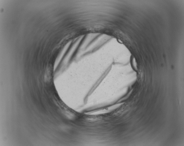X0000062791012200601191918