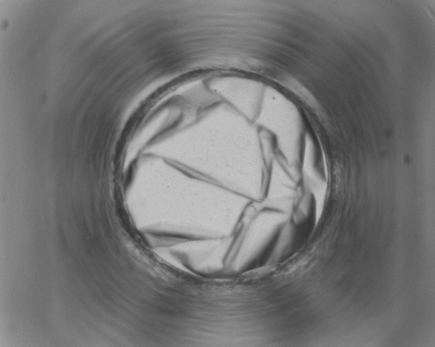 X0000062791020200601191919