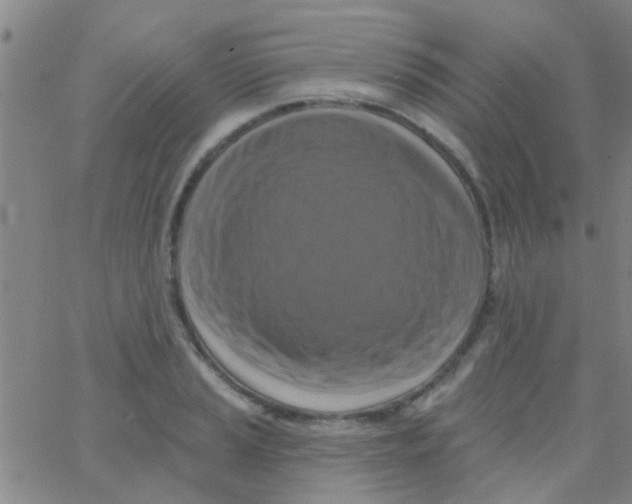 X0000062791037200601191919