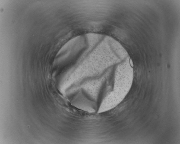 X0000062791058200601191918