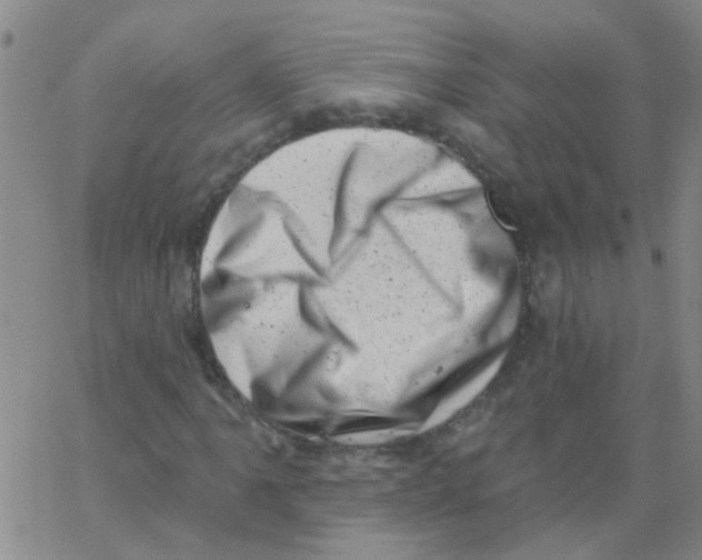 X0000062791061200601191918