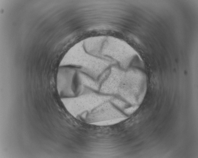X0000062791062200601191918