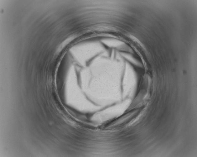 X0000062791065200601191918
