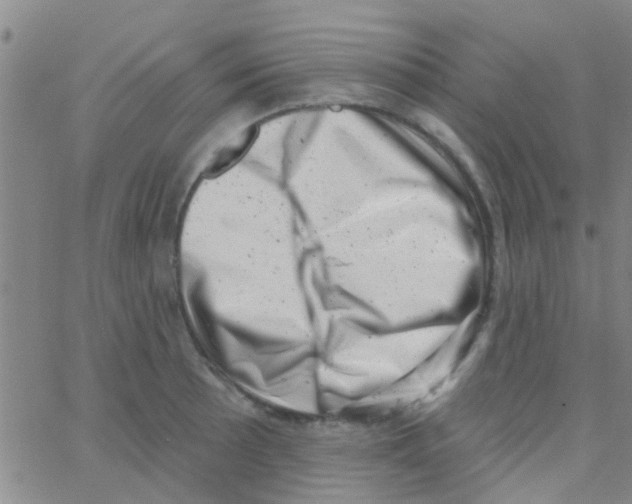 X0000062791089200601191918