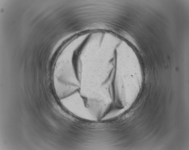 X0000062791116200601191917