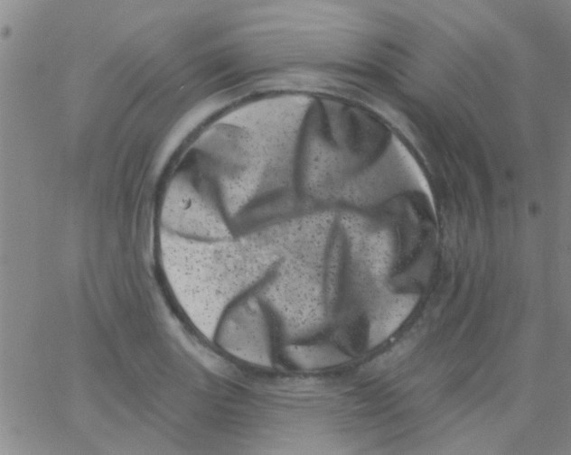 X0000062791131200601191917