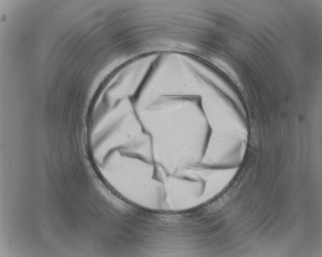 X0000062791136200601191917