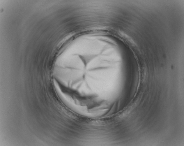 X0000062791169200601191916