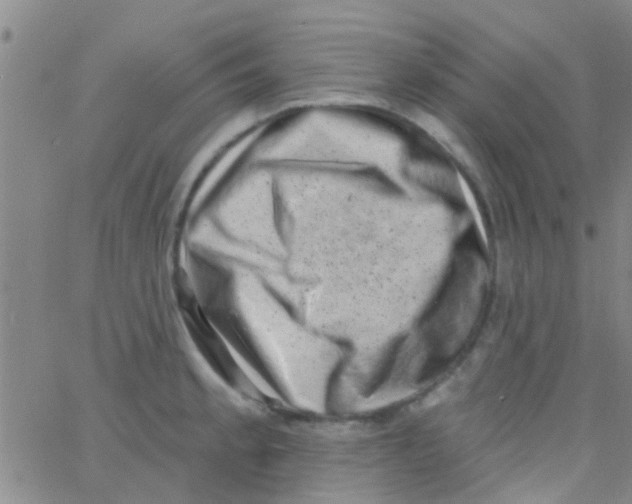 X0000062791189200601191916